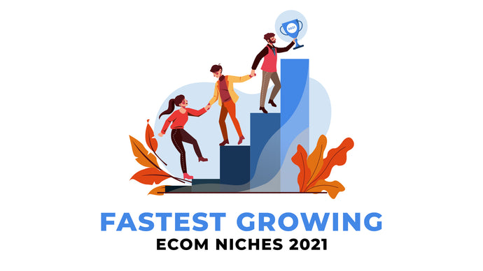 Fastest Growing Ecom Niches 2021