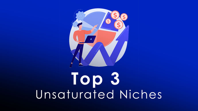 Top 3 Unsaturated Dropshipping Niches